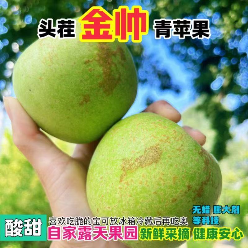 沂蒙山应季新鲜金帅青苹果现摘现发酸甜多汁口孕妇果产地直发鲜果