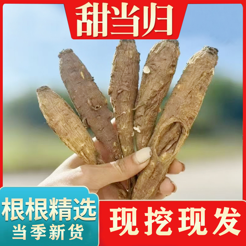 云南新鲜甜当归土当归天麻炖汤料过节送礼