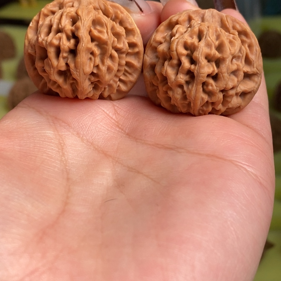 核桃秦岭闷尖狮子头31瑕疵