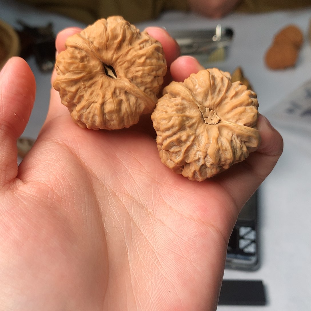 文玩核桃吊坠40尺蓟县蛤蟆头42