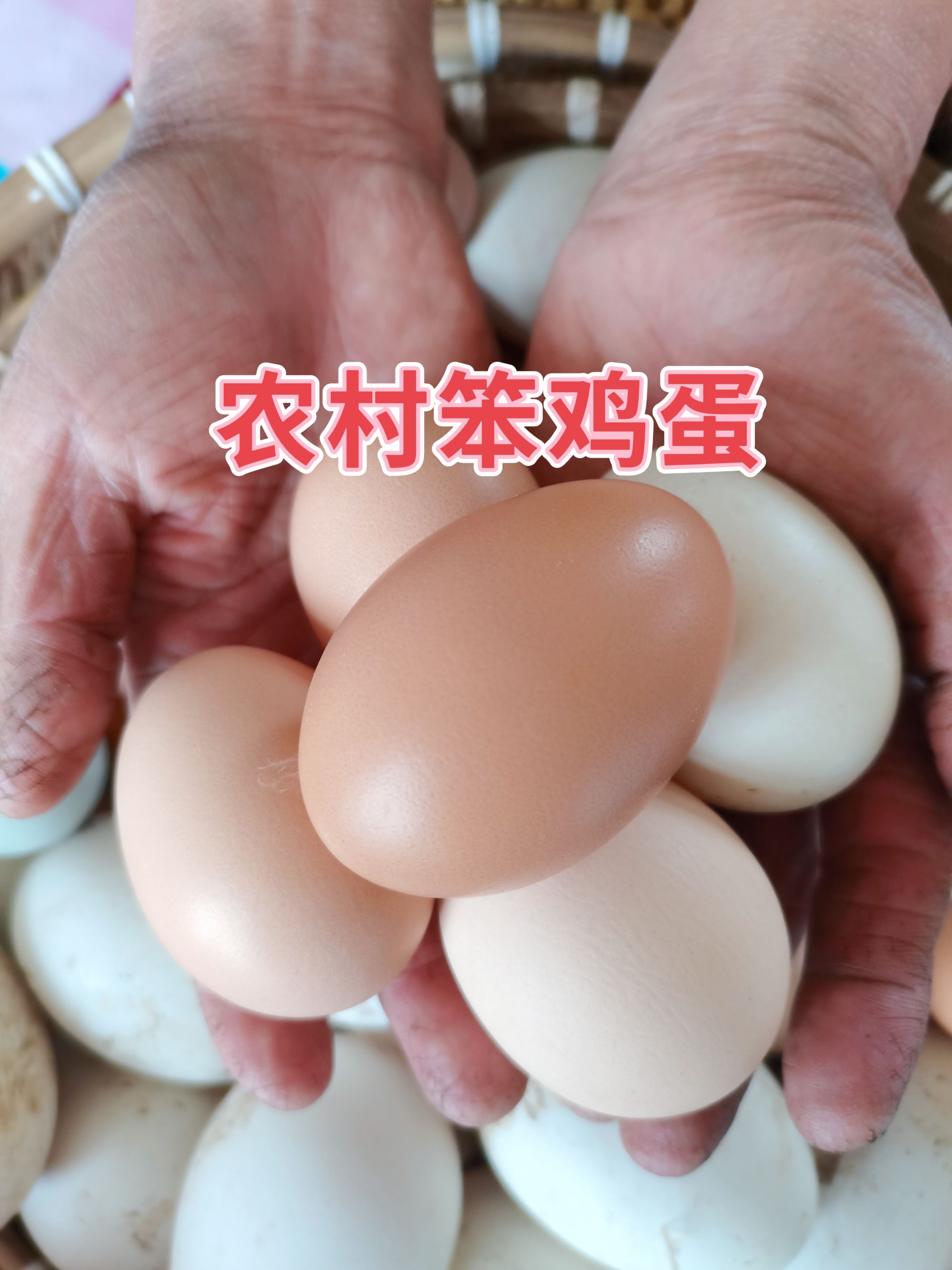 农村笨鸡蛋（快递运输偶尔会有打蛋情况介意者勿拍蛋打几个赔几个)