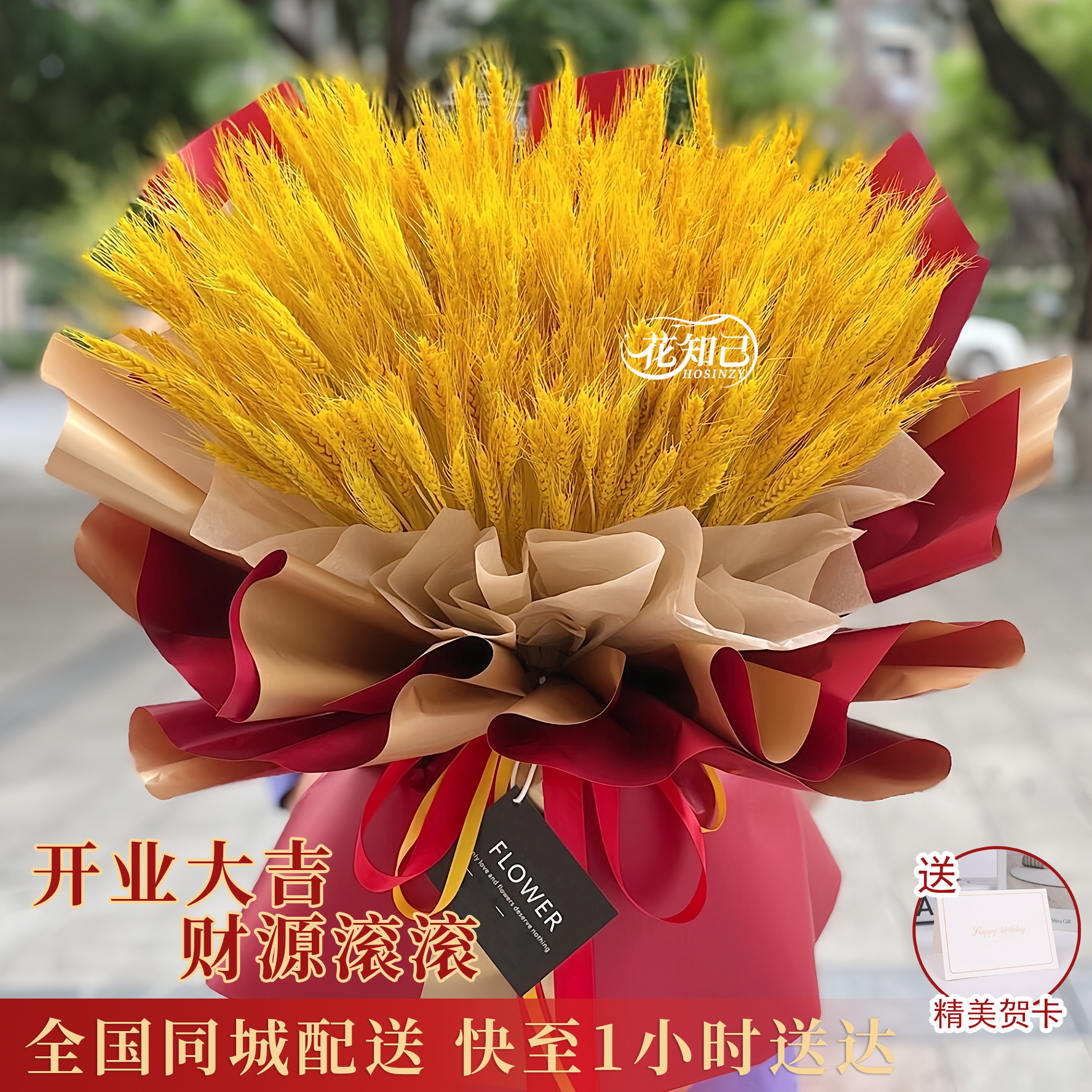 【日进斗金】300枝大麦花束开业大麦大卖开业大吉送朋友开业礼物同城鲜花速递小时达鲜花订购同城配送