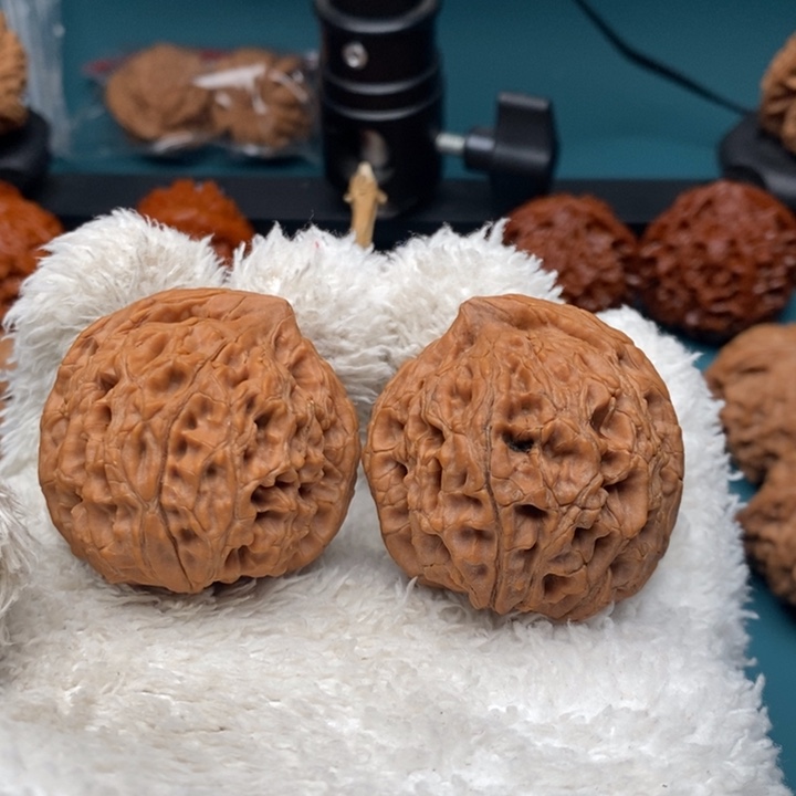 把件文玩核桃水龙文异形，肚子差尺