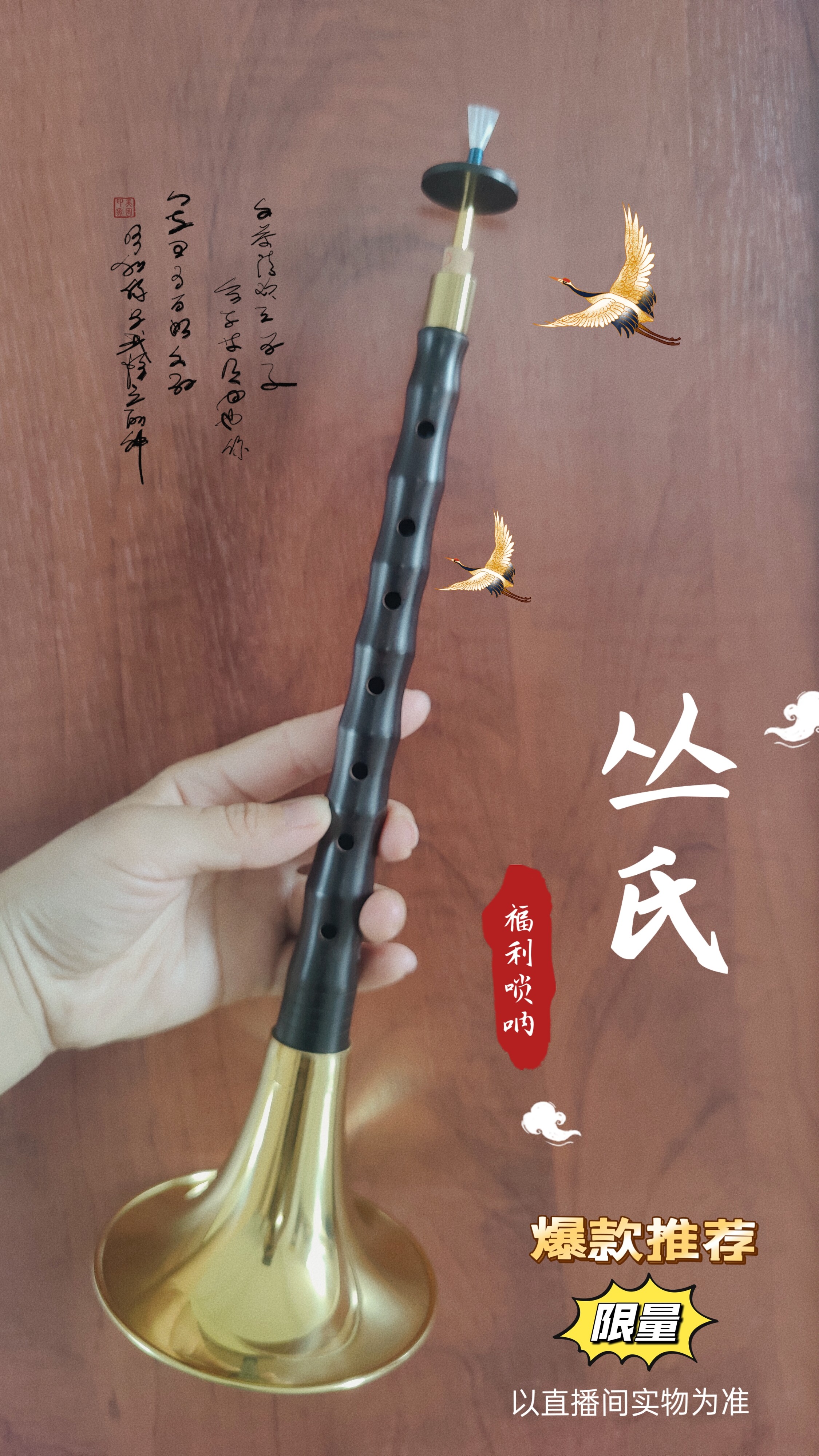 丛氏福利唢呐   零基础送教学视频  送2个精修树脂哨片