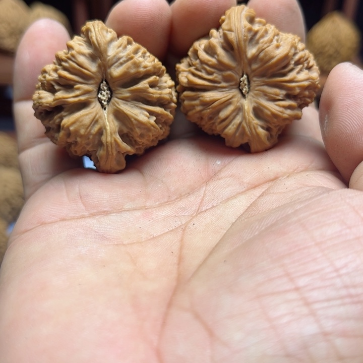 完全开放小**?南疆石