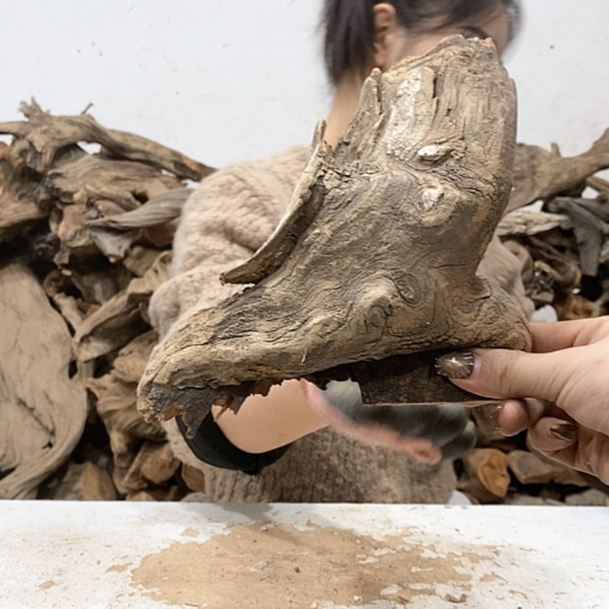 【闪购商品】柏木柏**赏我们都是好孩子