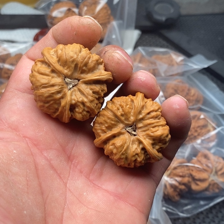 核桃把件、*一拼接蛤蟆8