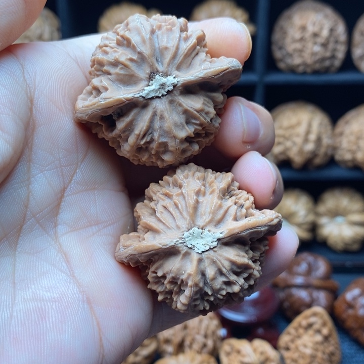 福***晟吊坠龙脊菩提宫灯42尺全品