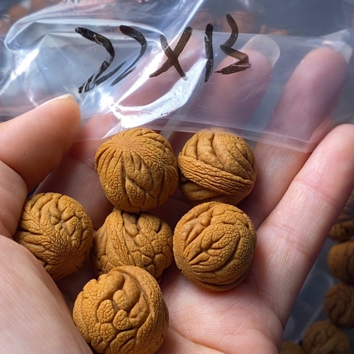 吊坠文玩核桃秦岭龙纹桃核野生22