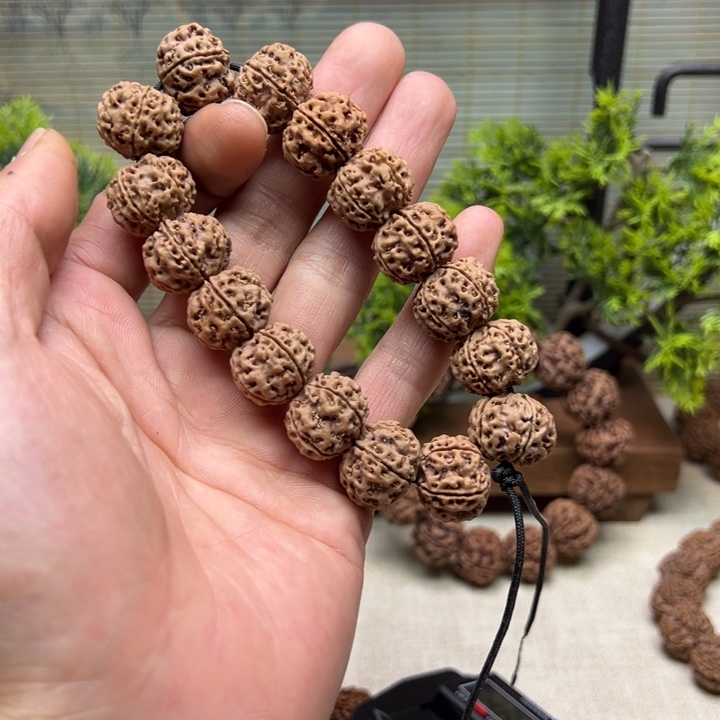 金刚菩提手串1原生态古龙小梅花