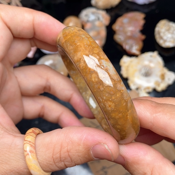 硅化珊瑚（珊瑚玉）手镯未镶嵌51.5