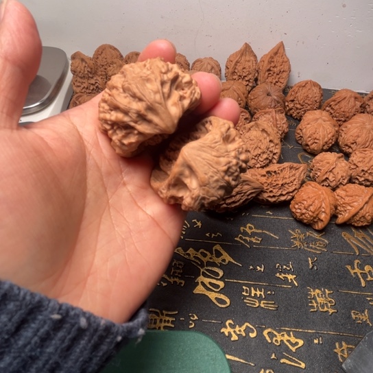 3***思41尺官帽蛇全品有磕