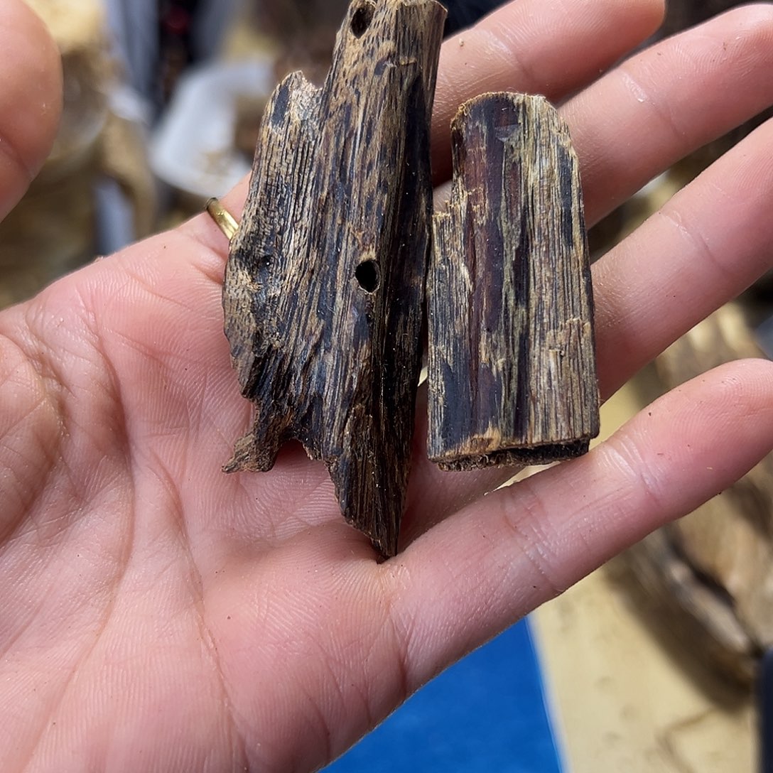 木绿奇楠虫漏原材料9克