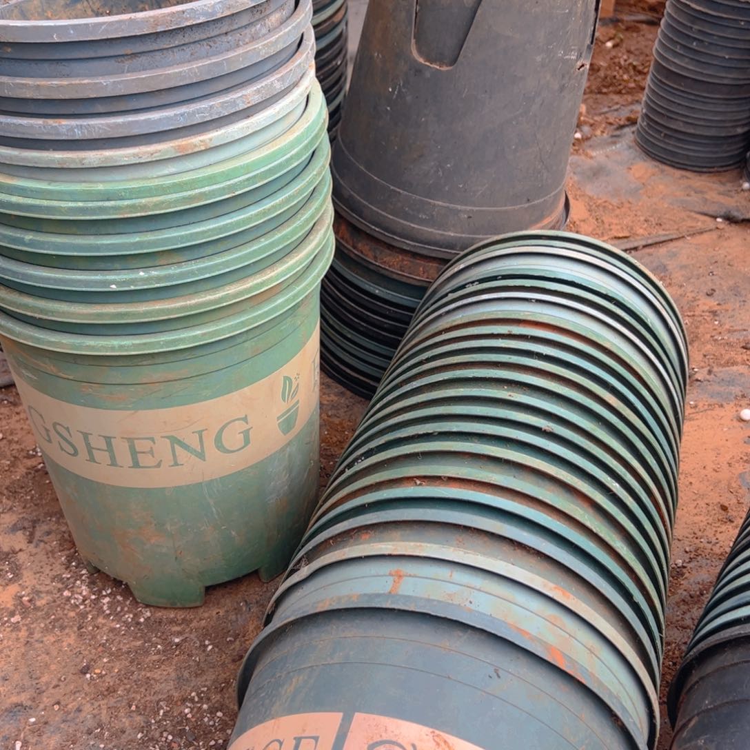 黑绿2加仑盆22.5口径21.5高 5个