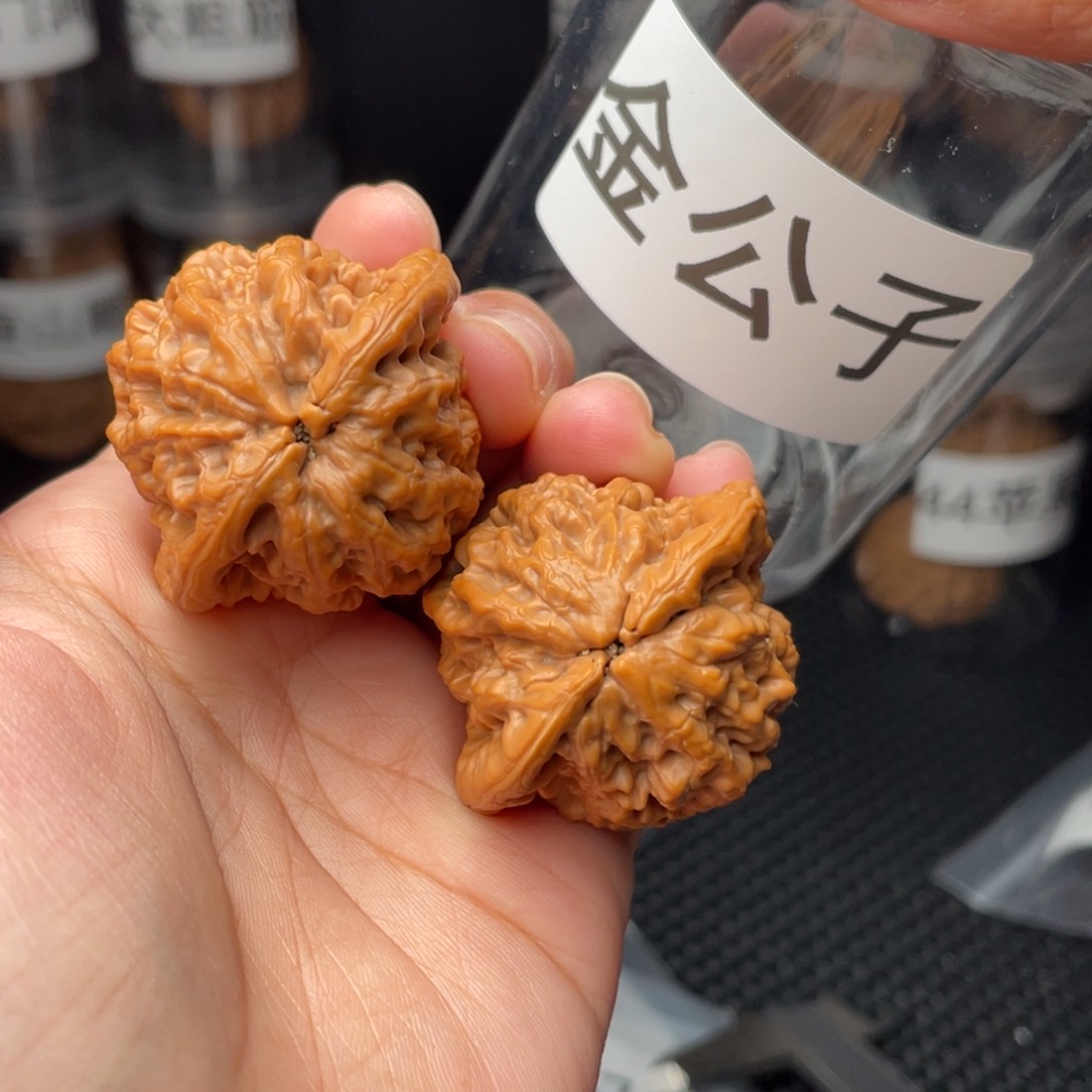 文玩核桃把件豆**豆金公子39