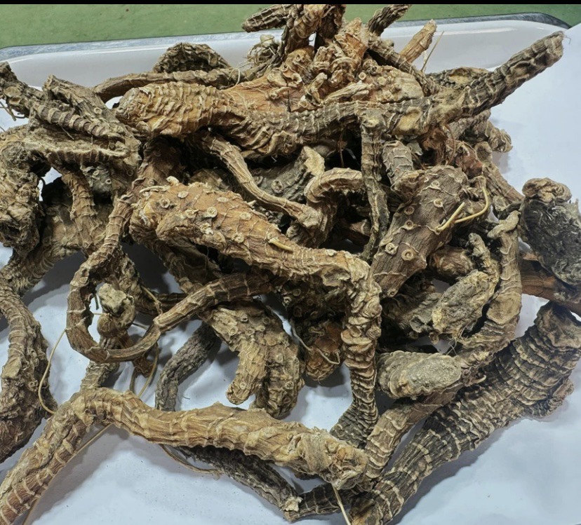 2云南土特产、阿、勃、参.传统滋补现收农产品500g