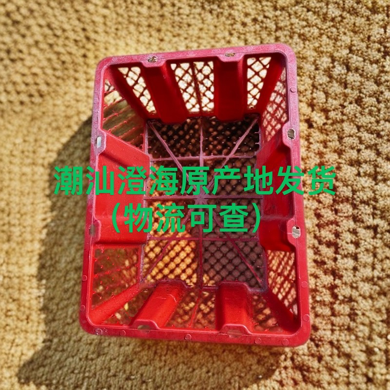 塑料筐包装出壳2到3两特大狮头镂空落地