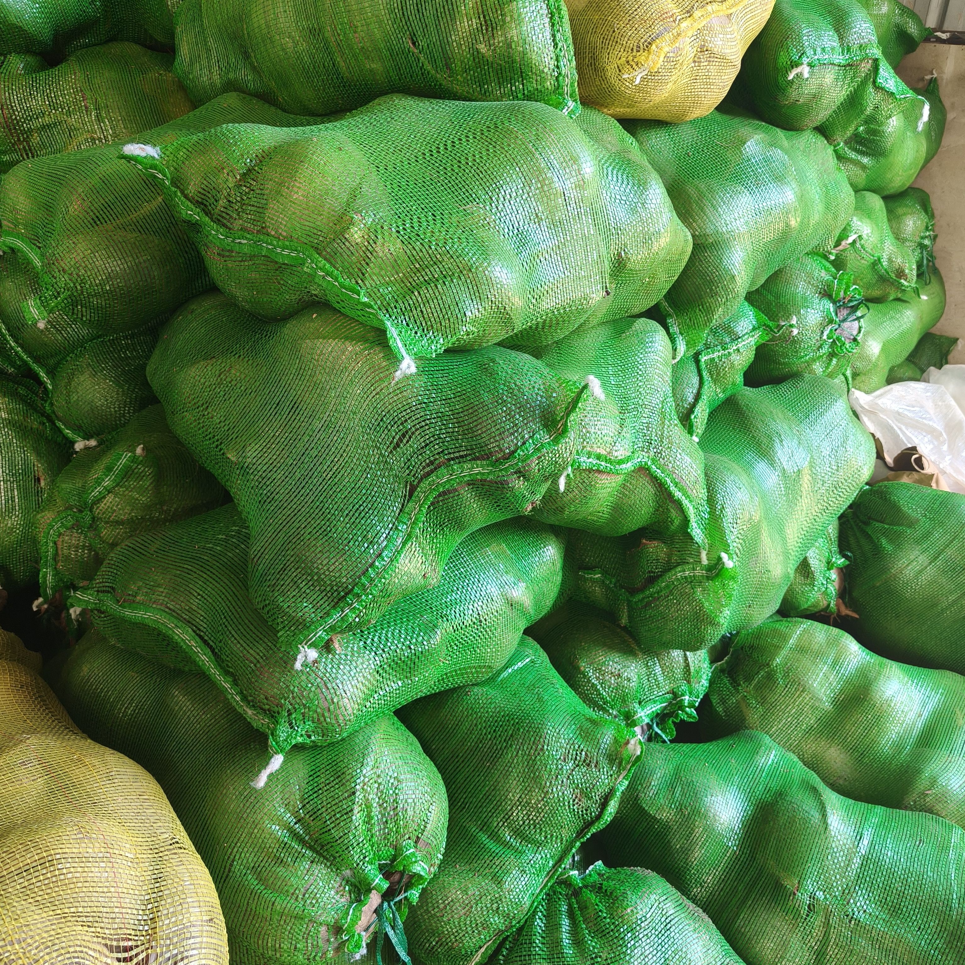 优质干椰壳，干椰壳，干椰果