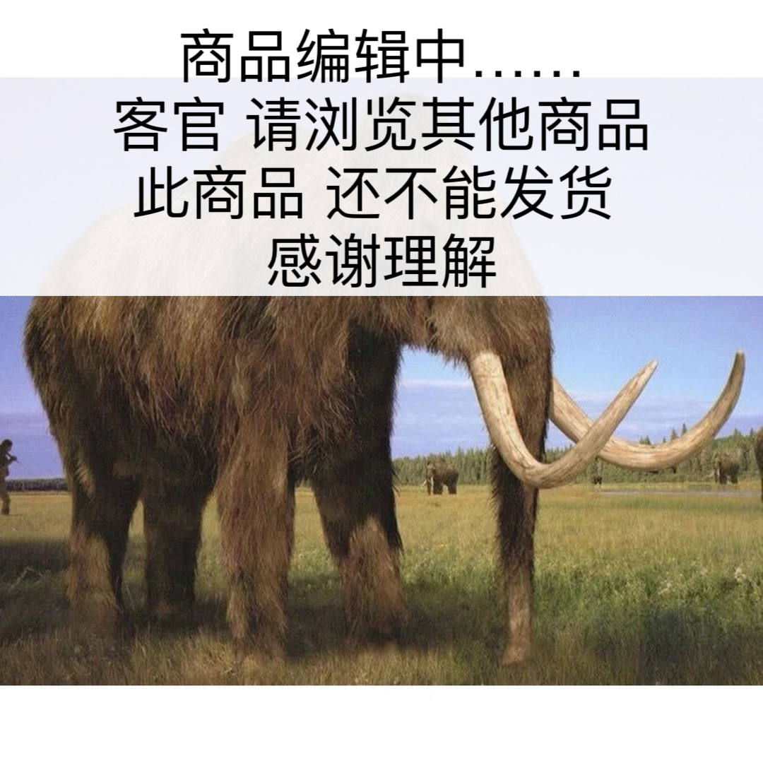 D1200天然猛犸牙跑环戒指内径7.8mm支持鉴定 假一罚四