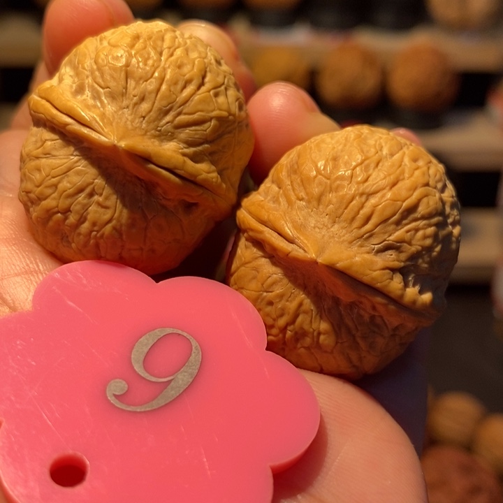 木质类七龙珠33尺寸