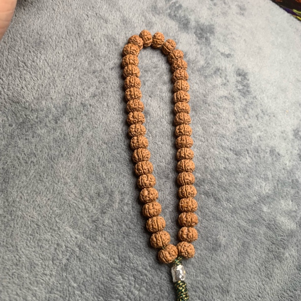 精挑收藏爆肉勿里达纯血老树王