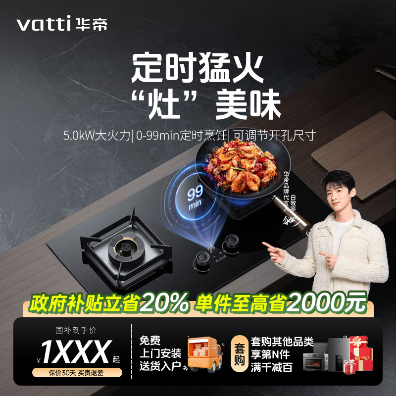 Vatti/华帝达人专属i10081B家用嵌入式一级能效5.0kW智能定时