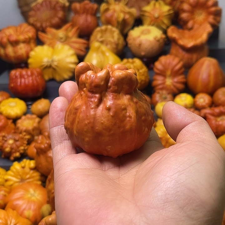 C***迷大叶紫檀（黑酸枝木类）