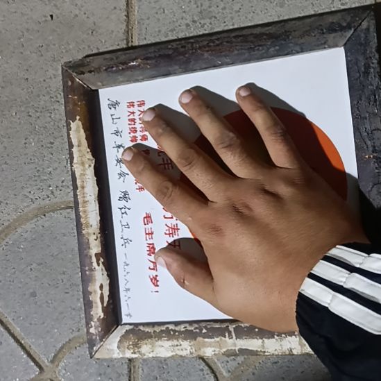 夢***真毛板画红00000000000
