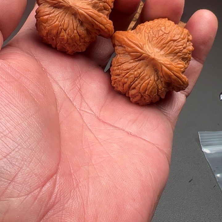 Z***L大叶紫檀（黑酸枝木类）血麒麟狮子头核桃