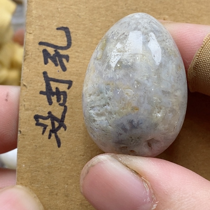 颈饰未镶嵌硅化珊瑚（珊瑚玉）有瑕