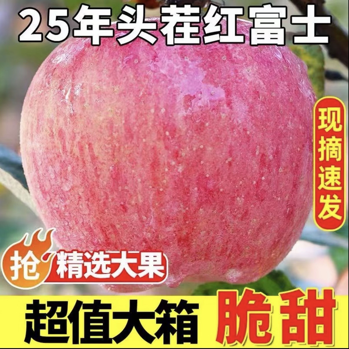 红富士苹果当季新鲜脆甜多水果H