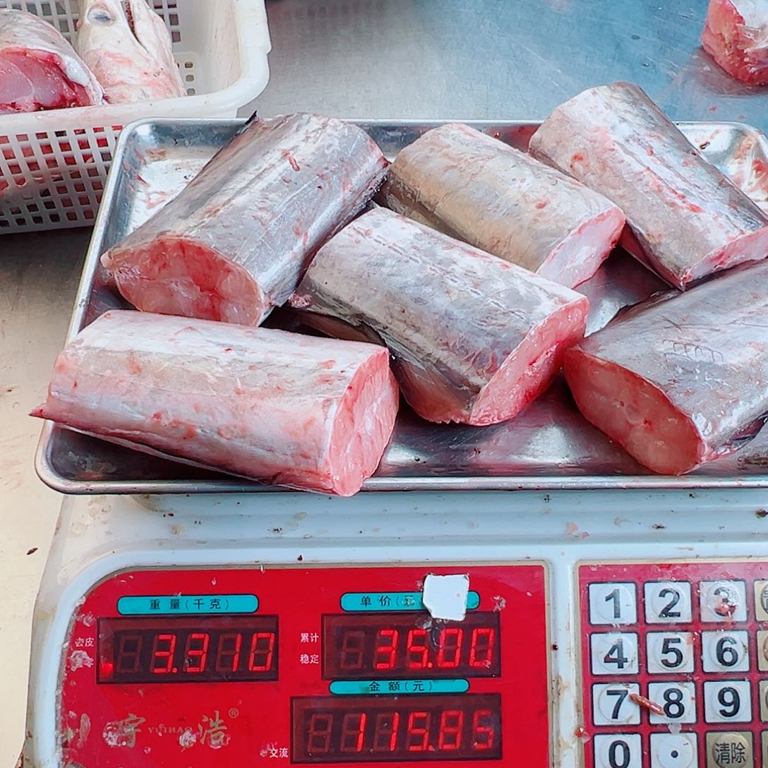 中国大陆鳗鱼野生