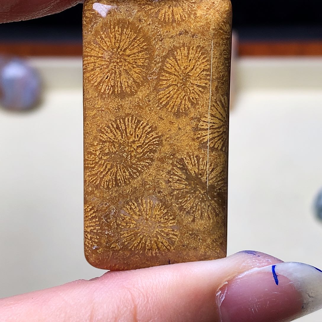 石英质玉颈饰未镶嵌彩*?