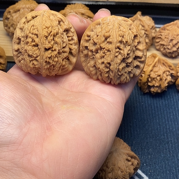 核桃43南疆石福利