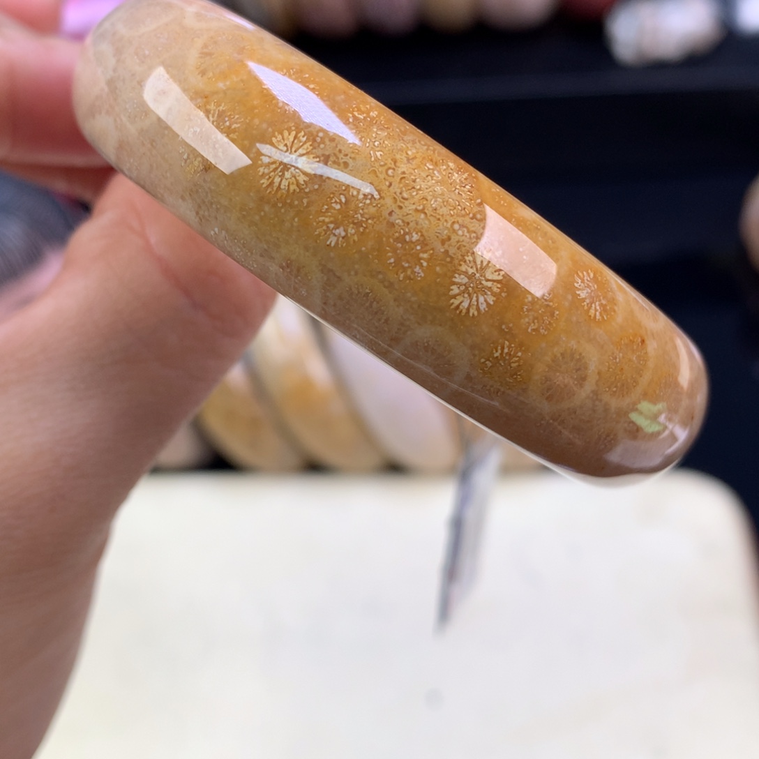 硅化珊瑚（珊瑚玉）未镶嵌颈饰五折手镯54.3圈（10号）