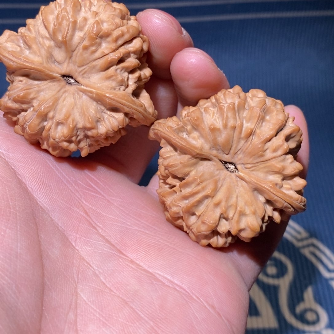 50尺 全品无修 白茬 官帽