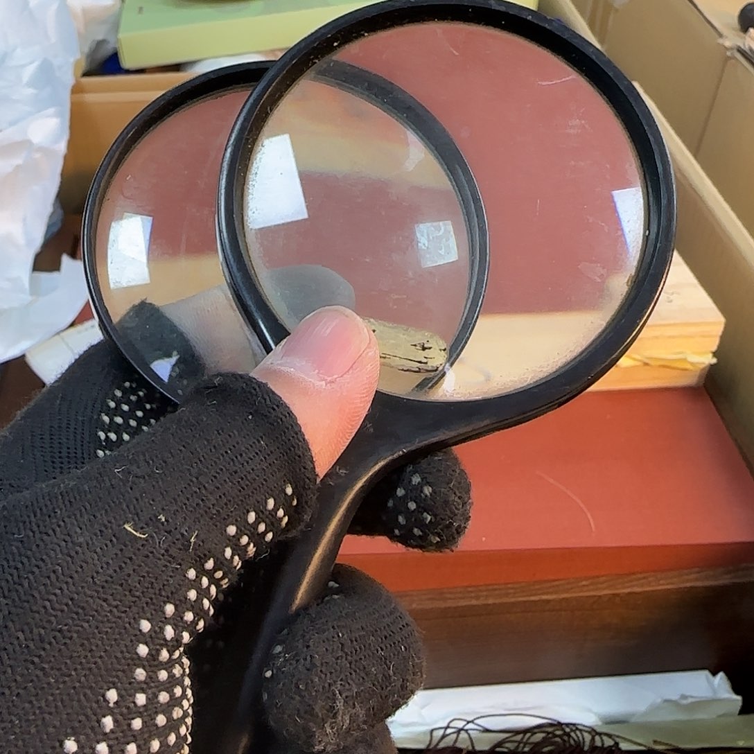 紫砂哈哈哈哈哈哈哈哈心****