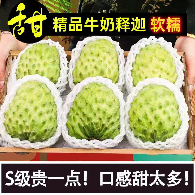 潮汕凤梨牛奶释迦果应季水果特大果番荔枝摩尼果春节礼盒