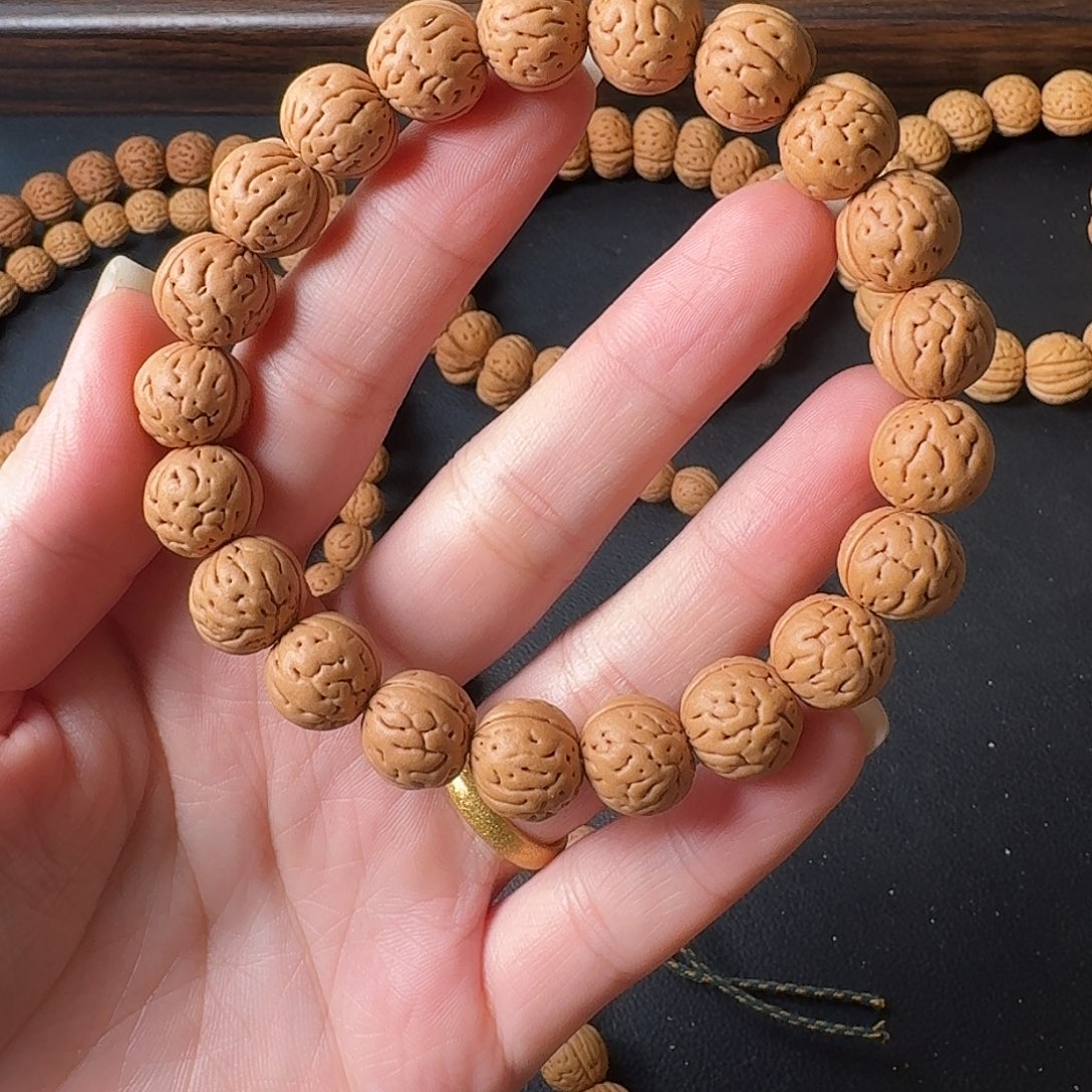 无***生恭喜发财恭喜发财