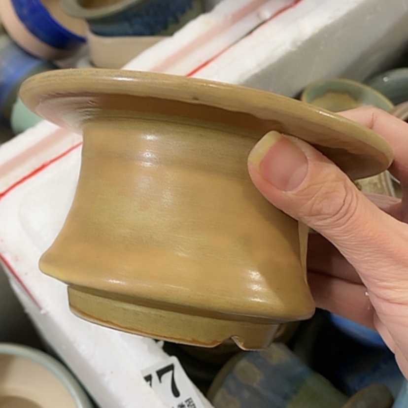 【闪购商品】红陶口7.5