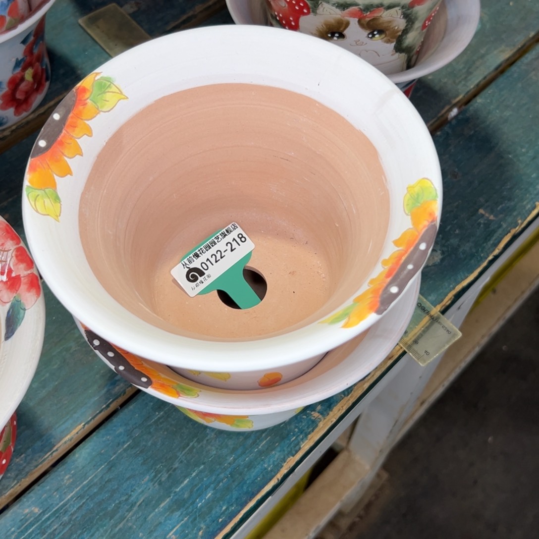 许*?多肉精选编号0122.218