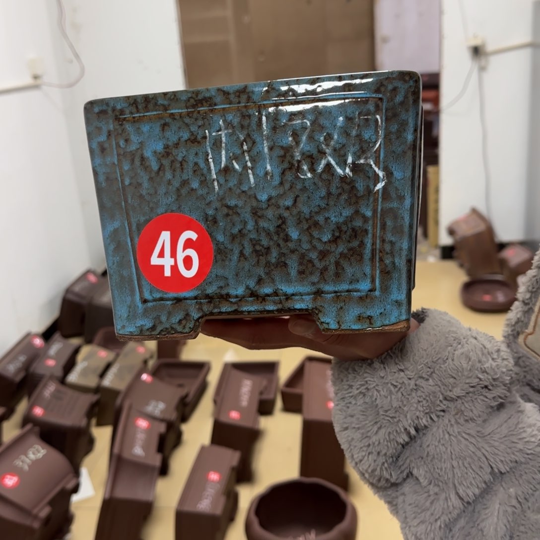 紫砂花盆呜呜呜呜