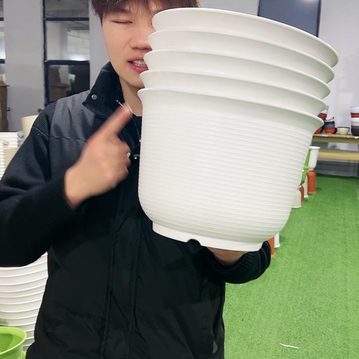 正品矮陶口30高22白色5只无托