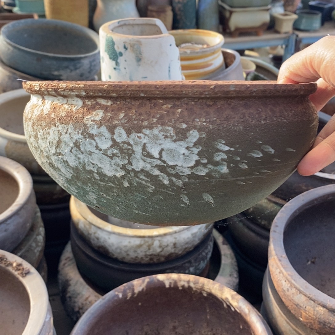 84号多肉盆口径18