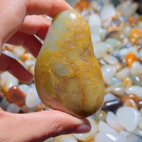 和田玉（糖玉）手链未镶嵌15