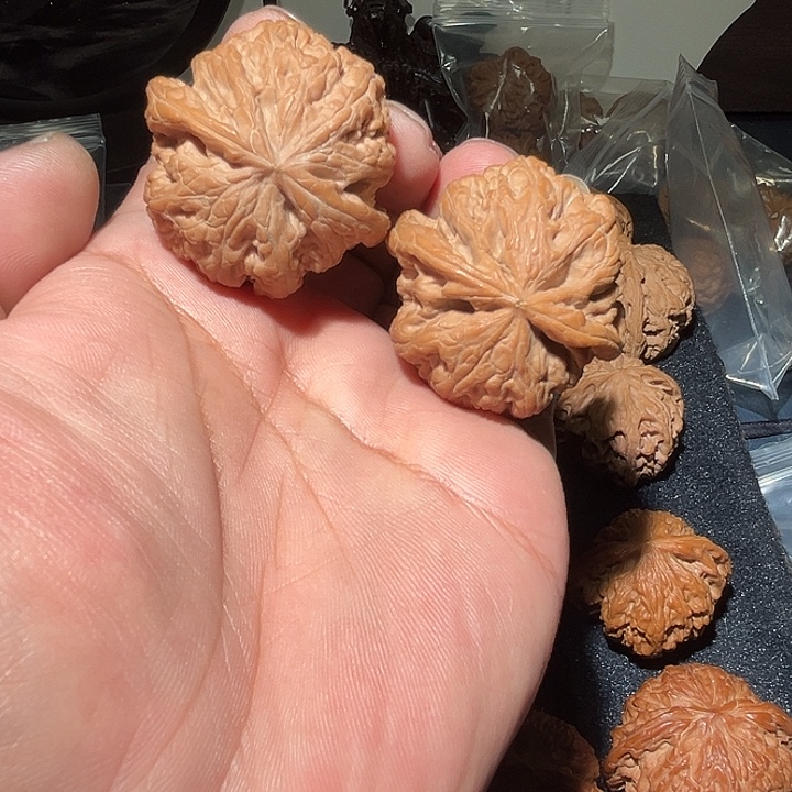 木44平谷粗筋。          