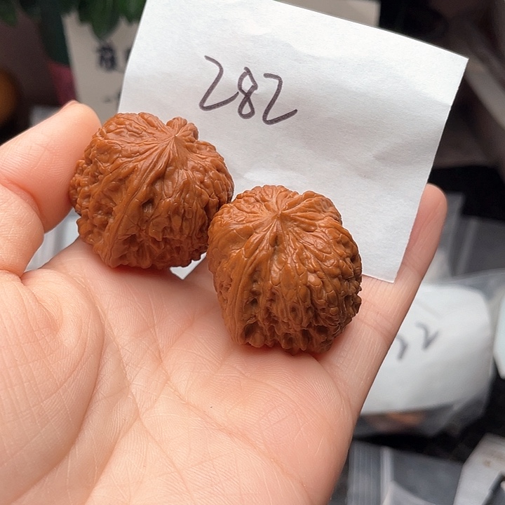 34+尺寸打底无修凹底