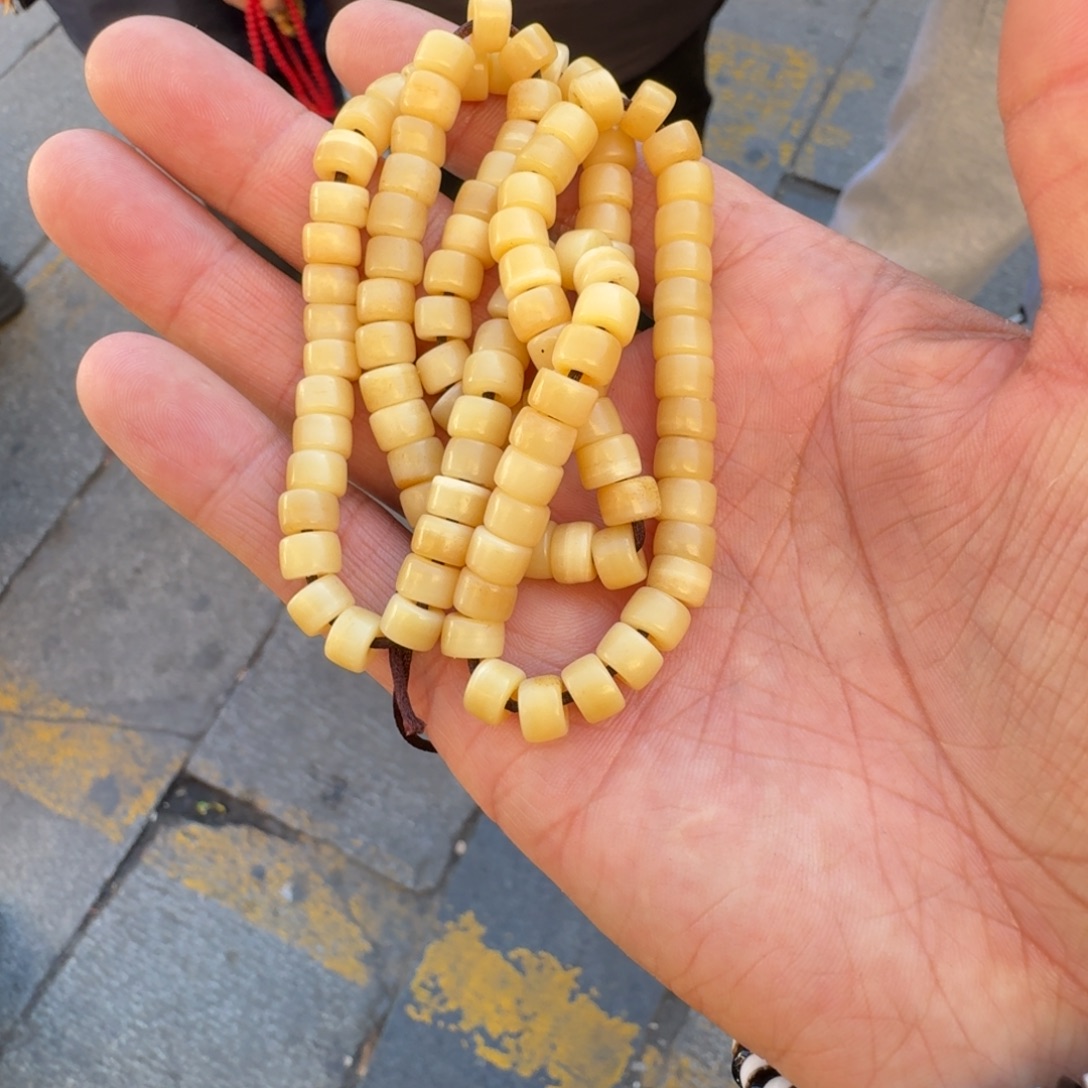 白玉菩提吊坠菩提树等树木的生长发育和生长发育
