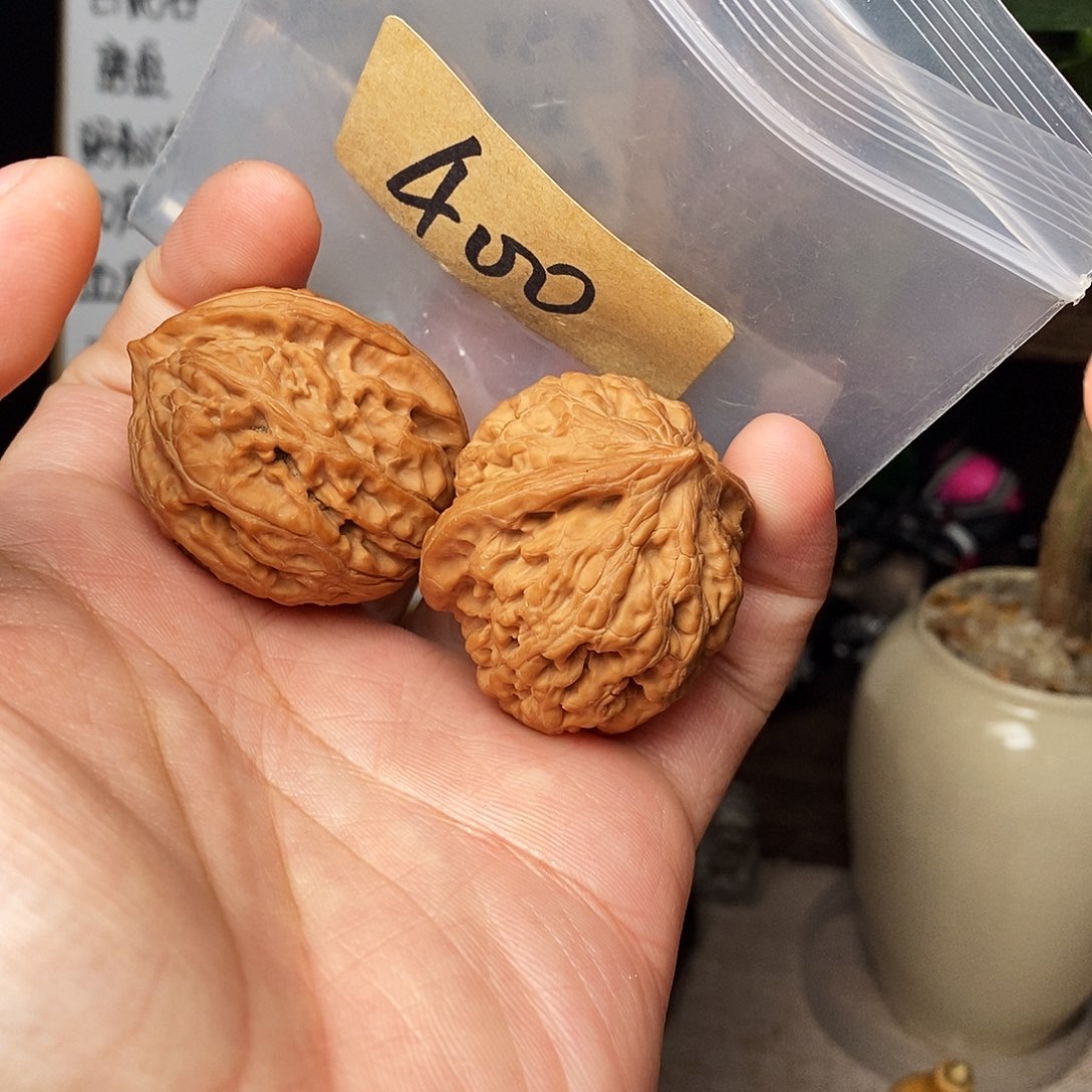 阿***腐文玩核桃吊坠凤凰台