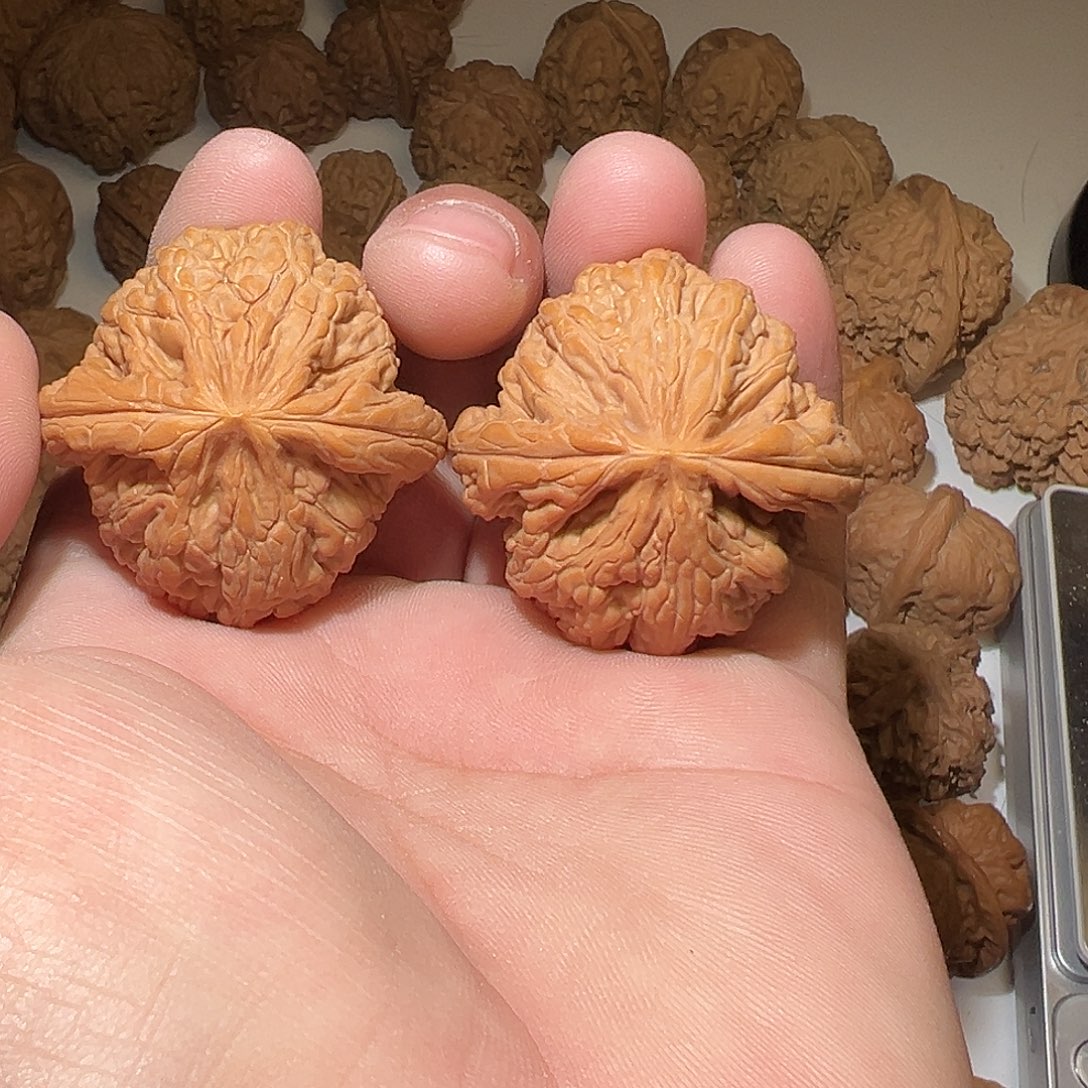 笑***…猴头核桃吊坠文玩